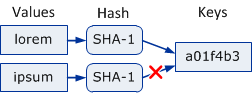 SHA1 Injective